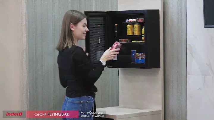Настенный минибар Indel B FlyingBar